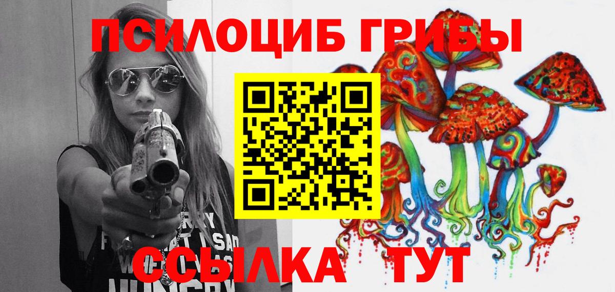 Псилоцибиновые грибы мухоморы Волхов